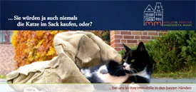 Eine verspielte schwarz-weiße Katze lugt aus einer beigen Tüte hervor, auf der in deutscher Sprache steht, dass man keine „Katze im Sack“ kaufen soll.