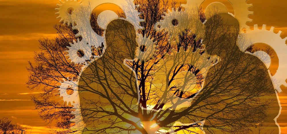Eine Silhouette von zwei Personen, die sich die Hand schütteln mit einem Baum und einem Sonnenuntergang im Hintergrund