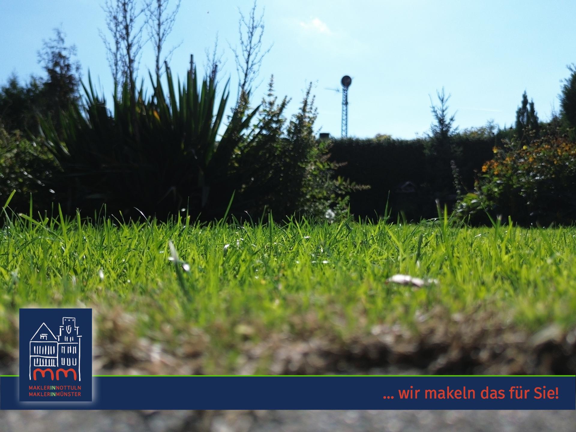 Real Estate Title Image Background